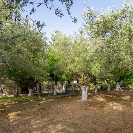 Apartment Aspro Stone Mansion In The Area Of Lefkada Asprogerakata